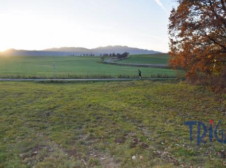 Prodej pozemku, trvalý travní porost, 1 033 m²