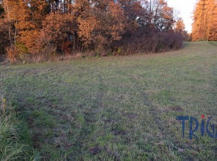 Prodej pozemku, trvalý travní porost, 1 033 m²