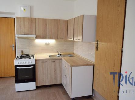 Pronájem bytu, 1+kk, 30 m² obrázek