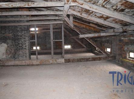 Prodej bytu, 3+kk, 258 m²