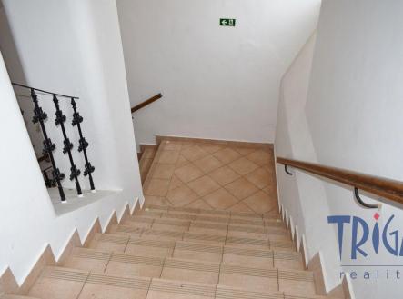 Prodej bytu, 3+kk, 258 m²