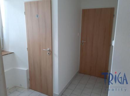 Pronájem bytu, 1+kk, 42 m²