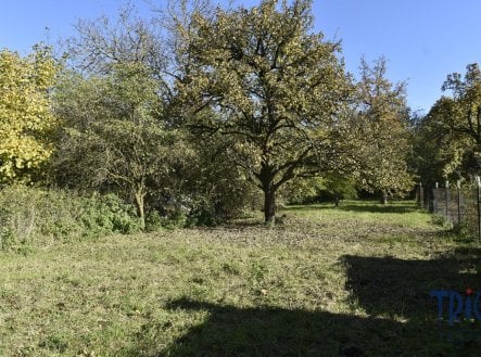 Prodej domu/vily, 100 m²
