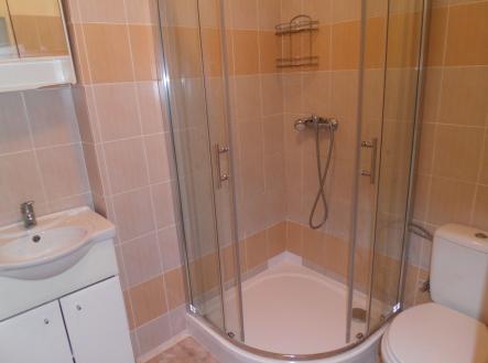 Pronájem bytu, 1+1, 39 m²