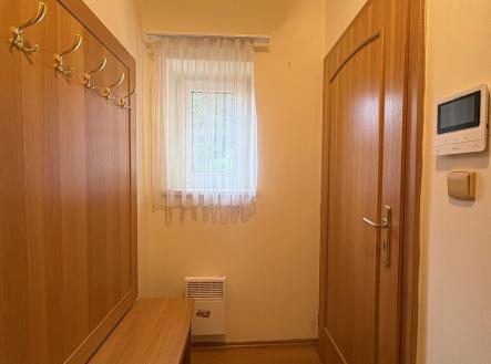 Pronájem bytu, 1+kk, 29 m²