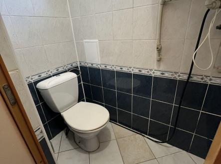 Pronájem bytu, 1+1, 38 m²