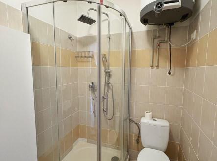 Pronájem bytu, 1+1, 39 m²