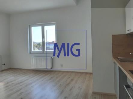 Pronájem bytu, 2+kk, 42 m²