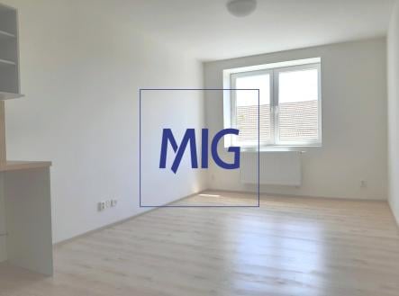 Pronájem bytu, 1+kk, 26 m² obrázek