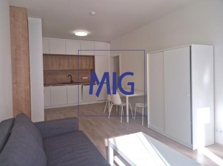 Prodej bytu, 2+kk, 46 m²