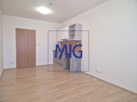 Pronájem bytu, 1+kk, 28 m²