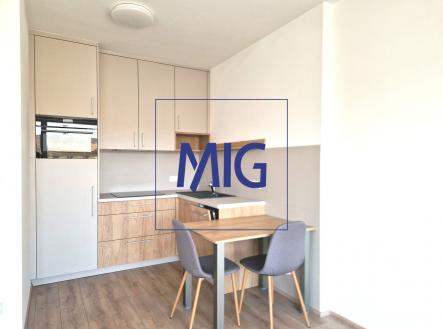 Pronájem bytu, 2+kk, 48 m²