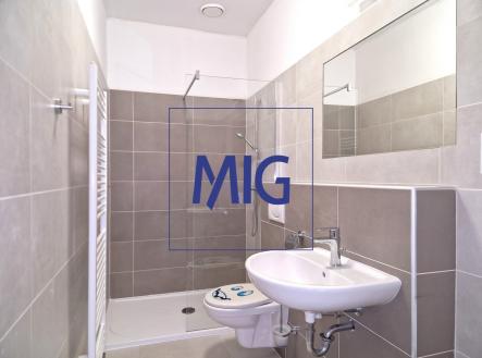 Pronájem bytu, 2+kk, 48 m²