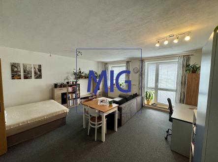 Pronájem bytu, 1+kk, 44 m²