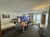Pronájem bytu, 1+kk, 44 m²