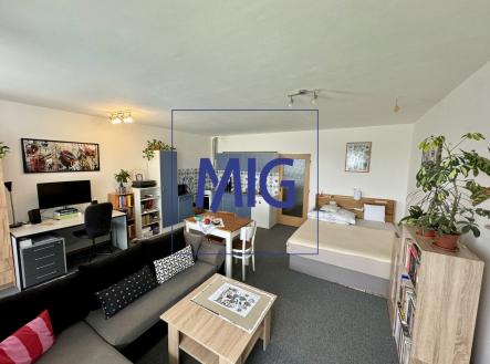 Pronájem bytu, 1+kk, 44 m²