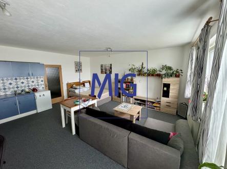 Pronájem bytu, 1+kk, 44 m²