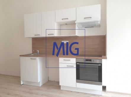 Pronájem bytu, 1+kk, 41 m²