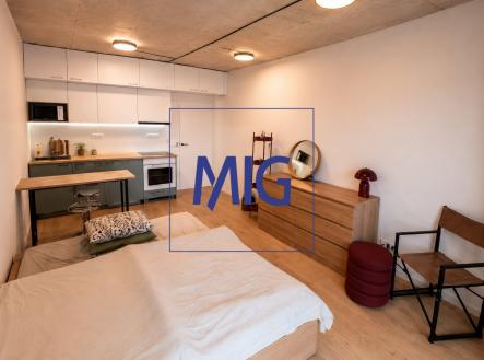 Pronájem bytu, 1+kk, 31 m²