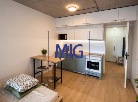 Pronájem bytu, 1+kk, 31 m²