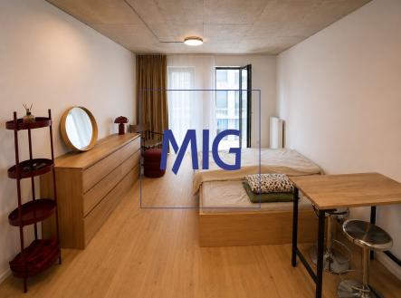 Pronájem bytu, 1+kk, 31 m²