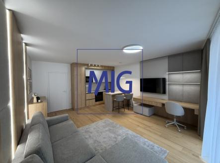 Pronájem bytu, 1+kk, 45 m²