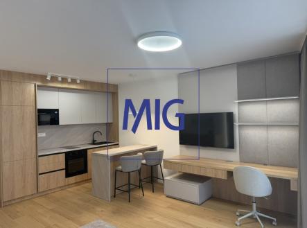 Pronájem bytu, 1+kk, 45 m²