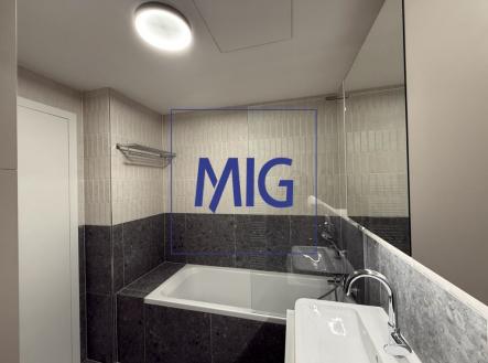 Pronájem bytu, 1+kk, 45 m²