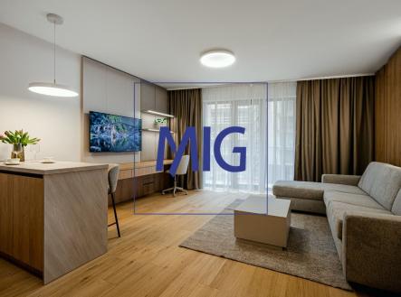 Pronájem bytu, 1+kk, 45 m²