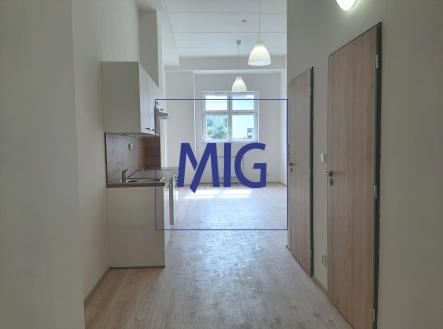 Pronájem bytu, 1+kk, 41 m²