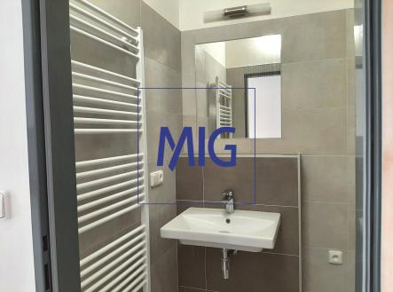 Pronájem bytu, 1+kk, 41 m²