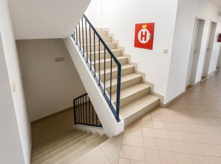 Pronájem kanceláře, 57 m²