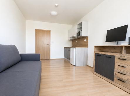 Pronájem bytu, 1+kk, 28 m²