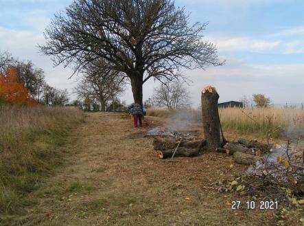 Prodej pozemku pro bydlení, 996 m²