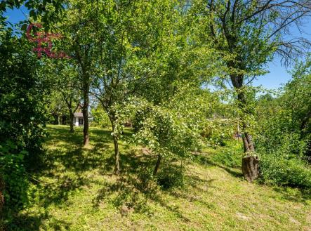 Prodej - pozemek, zahrada, 263 m²