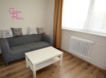 Pronájem bytu, 1+1, 33 m²