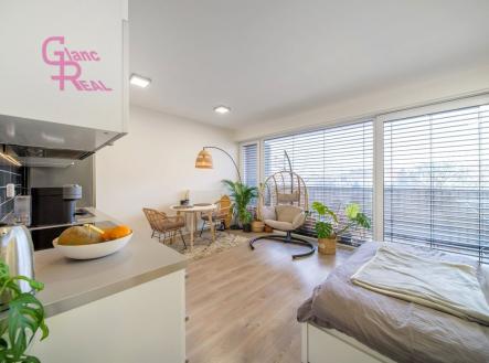 Pronájem bytu, 1+kk, 39 m²