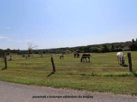 Prodej - pozemek pro bydlení, 2 001 m²