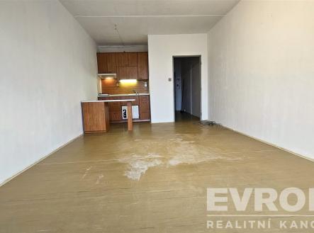 Prodej bytu, 1+kk, 34 m²