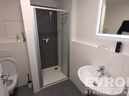 Pronájem bytu, 1+kk, 35 m²