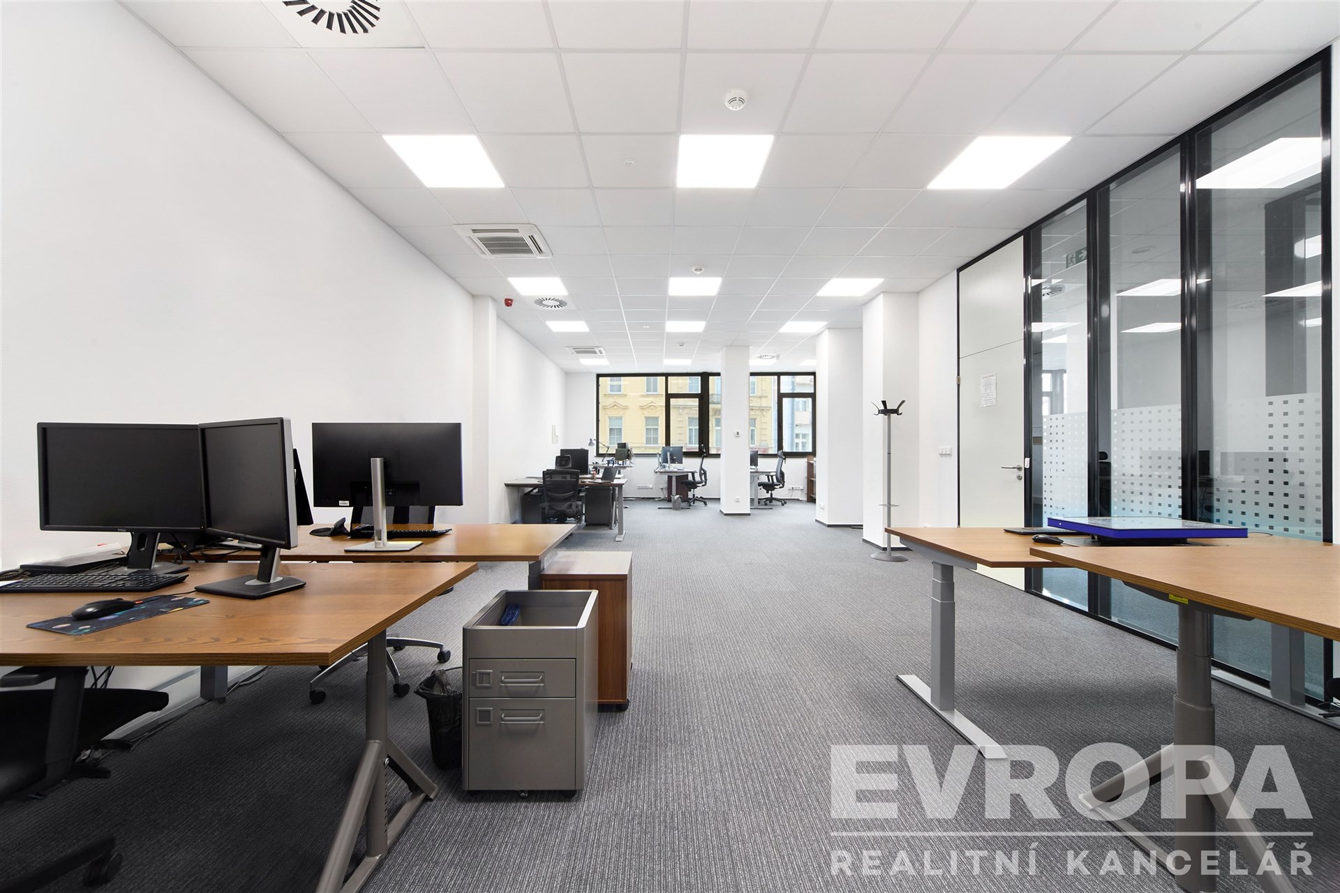 Komerční kancelářský prostor s moderním designem, skleněné příčky, koberce a velkými okny, ideální pro flexibilní pracovní prostředí.