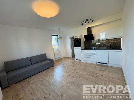 Prodej bytu, 1+kk, 30 m²
