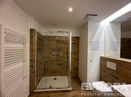 Pronájem bytu, 2+kk, 70 m²