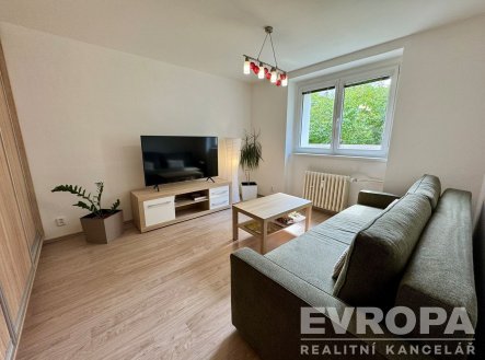 Pronájem bytu, 1+1, 30 m²