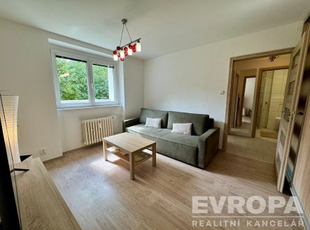 Pronájem bytu, 1+1, 30 m²