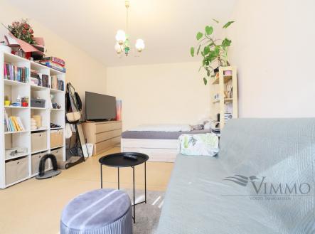 Pronájem bytu, 1+1, 41 m²