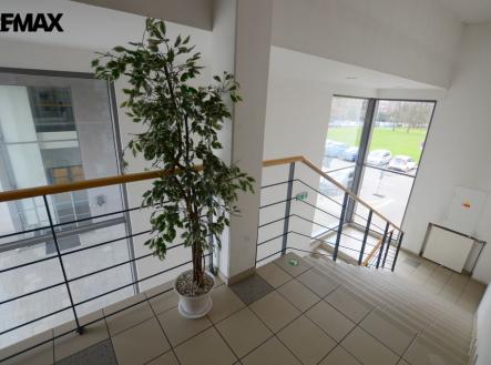 Pronájem kanceláře, 28 m²