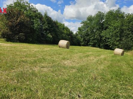 Prodej pozemku pro bydlení, 2 326 m²