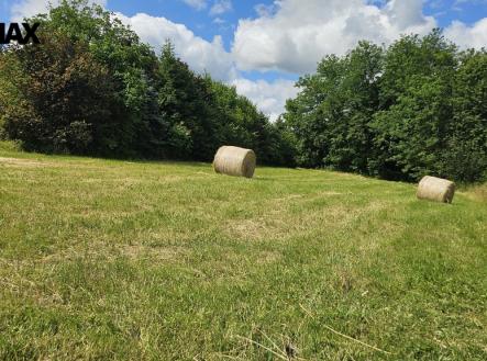 Prodej pozemku pro bydlení, 2 326 m²