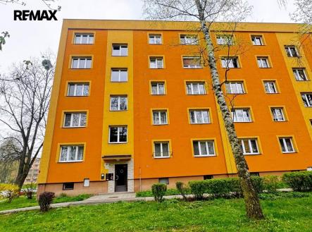 Orchid Casel de Paradise.